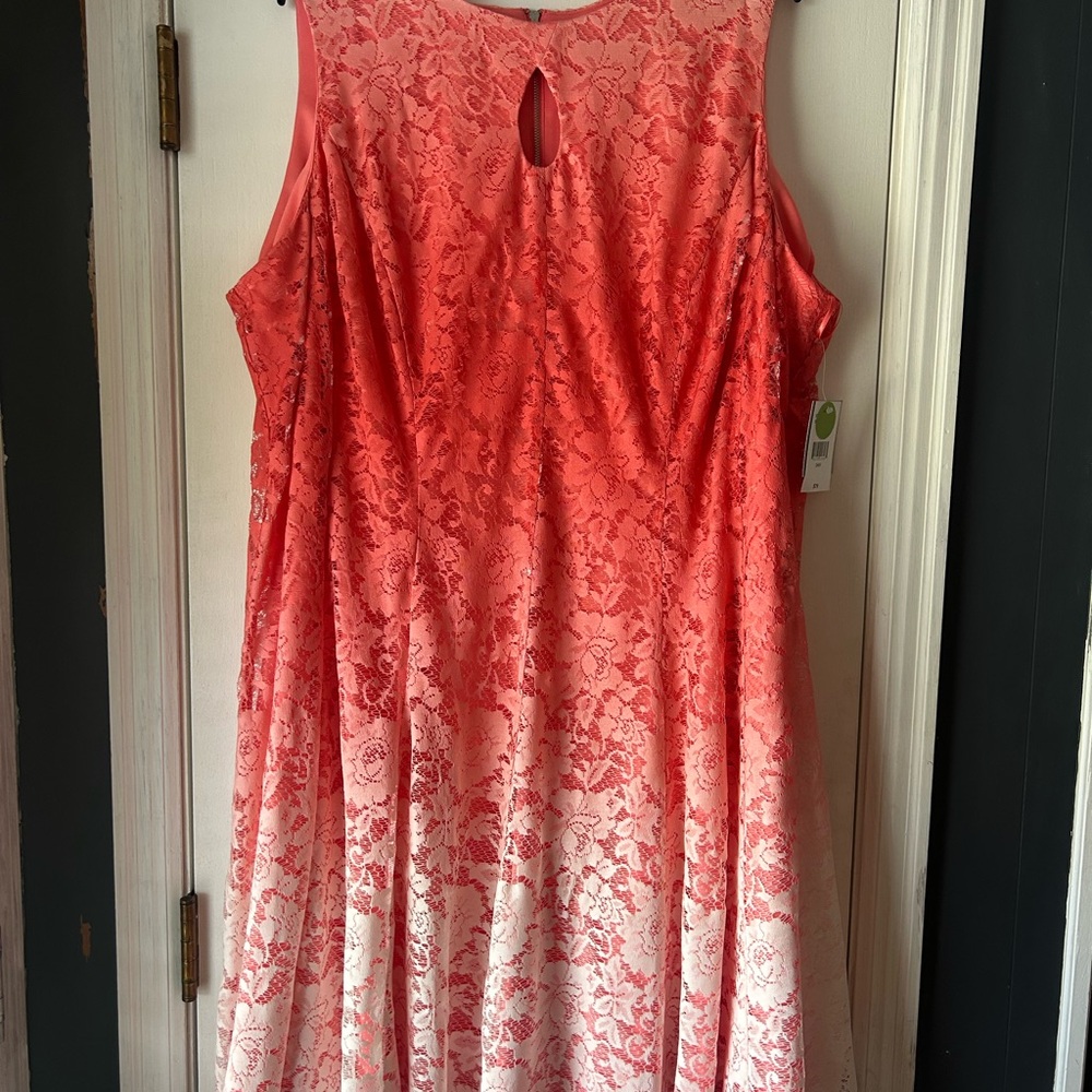 Sleeveless Coral Lace Ombre A-Line Dress